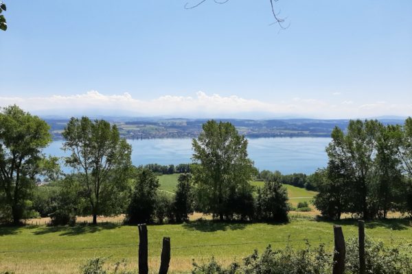 Murten Region : Mont-Vully 2